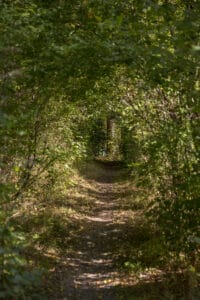 Vitsippsvägen 6 – bild 4