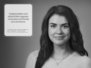 Viloplatsen 6K – bild 5