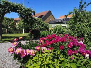 Västra tullgatan 14 – bild 2
