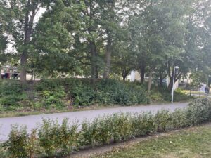 Kvarnvägen 48 – bild 4